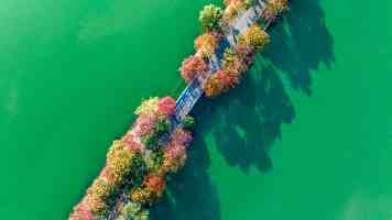 基于 STM32 的智能路灯：开源方案与深度优化