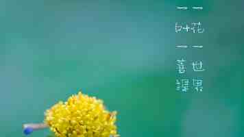 架构师修炼：如何高效掌握任意网络协议？避坑指南