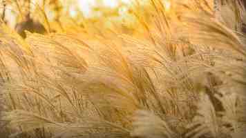 MySQL 日志全方位解析：原理、配置与实战避坑指南