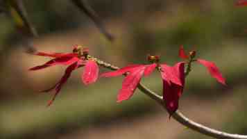 深入剖析：计算机工作原理及核心组件详解，让代码运行更高效